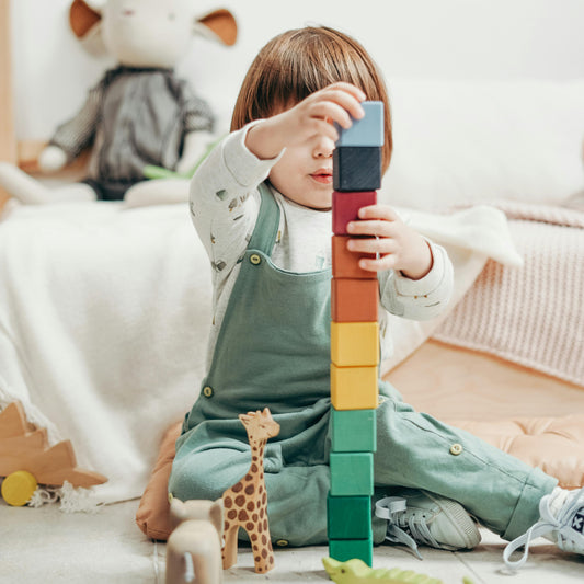 JOUET BEBE: Guide des jouets pour bébé de 9 mois à 1 an