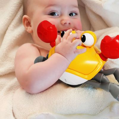 jouet-bebe-crabe-rechargeable